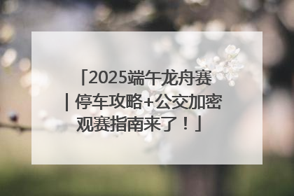 2025端午龙舟赛｜停车攻略+公交加密 观赛指南来了！