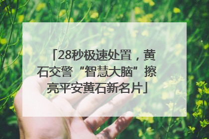 28秒极速处置，黄石交警“智慧大脑”擦亮平安黄石新名片