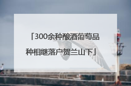 300余种酿酒葡萄品种相继落户贺兰山下