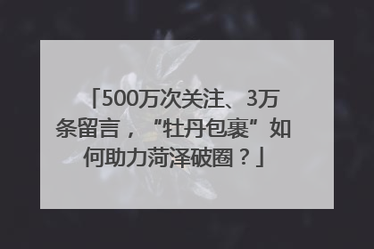 500万次关注、3万条留言，“牡丹包裹”如何助力菏泽破圈？