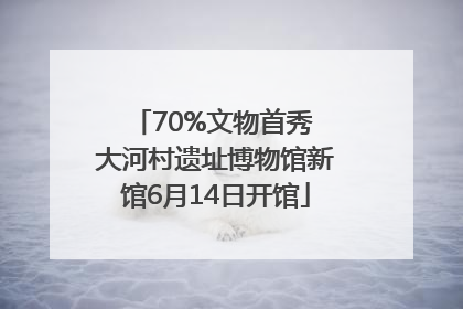 70%文物首秀 大河村遗址博物馆新馆6月14日开馆