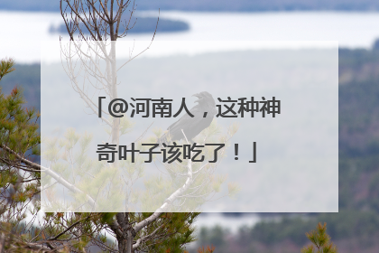 @河南人，这种神奇叶子该吃了！