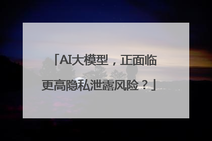 AI大模型，正面临更高隐私泄露风险？