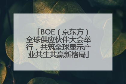 BOE（京东方）全球供应伙伴大会举行，共筑全球显示产业共生共赢新格局