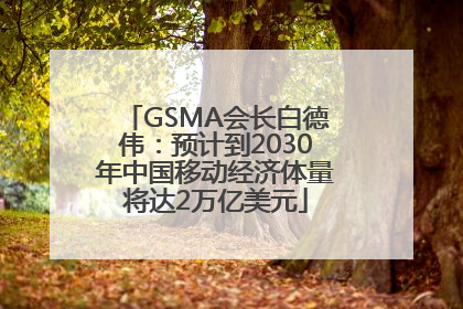 GSMA会长白德伟：预计到2030年中国移动经济体量将达2万亿美元