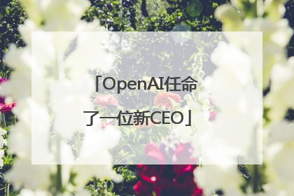 OpenAI任命了一位新CEO